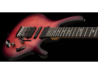 PRS SE Chleo Herman Li OD PRS SE Chleo Herman Li OD